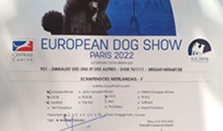 2022/04/22 EUROPEAN DOG SHOW