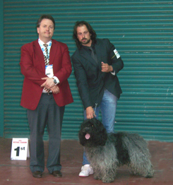 2009/05/31 Euro Dog Show Dublino